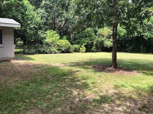 3 bed, 1200 sqft, $1,575 — Photo 4