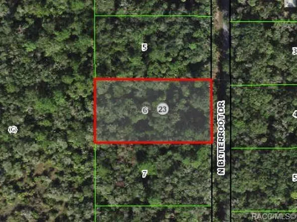 7664 N Bitterroot Dr, Crystal River, FL 34428