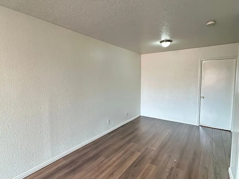 PEDRO — Photo 18