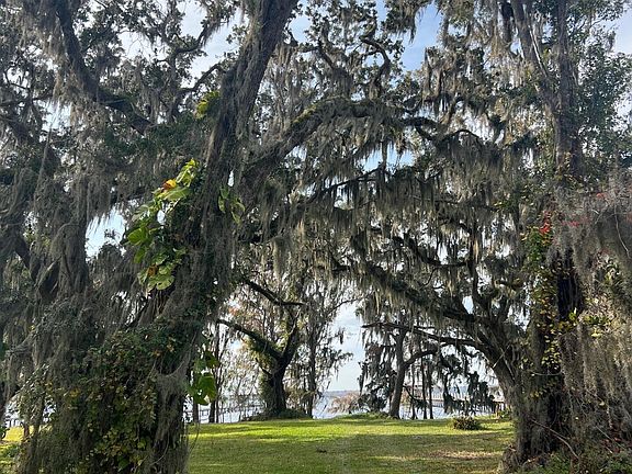 4th image of 8379 COLEE Cove