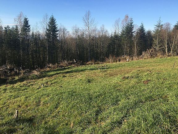 3rd image of 195 Kent Dr
