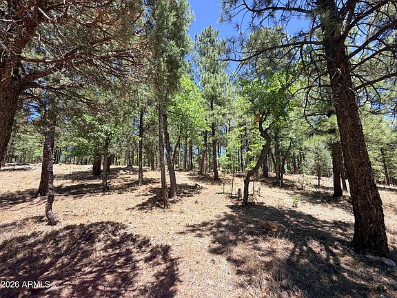 5th image of 4215 APACHE Drive #428