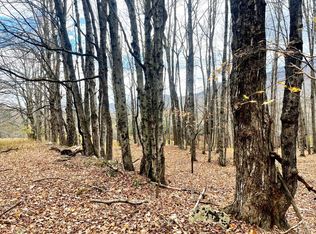 0 Shad Rd, East Jewett, NY 12424