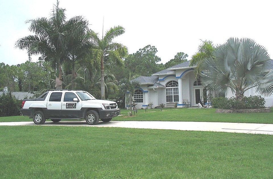 September, 2007, Palm Trees Grew