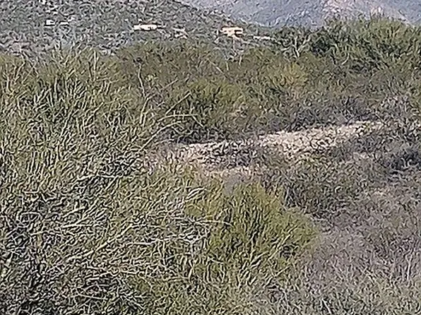 14490 E Success Dr, Vail, AZ 85641