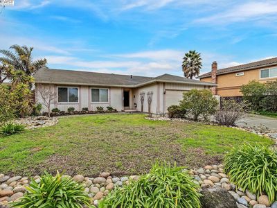 37922 Goldenrod Dr, Newark, CA, 94560