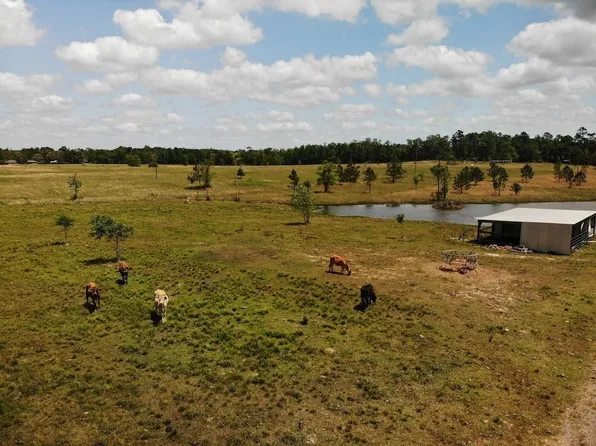 Wesley Coleman Rd, Longville, LA 70652