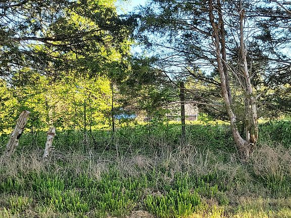 3rd image of 106 Rabbit Ridge Rd