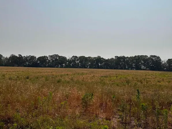 TRACT 60 Hays Mill Rd, Elkmont, AL 35620