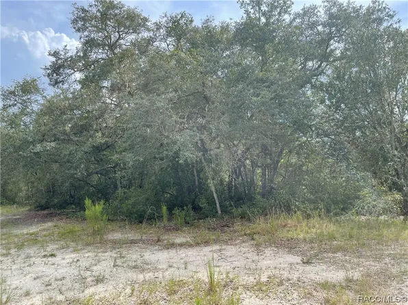 6446 N Bluebonnet Dr, Hernando, FL 34442