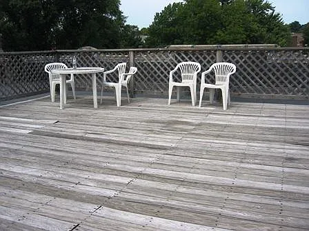 22 Orkney Rd #1 — Photo 15