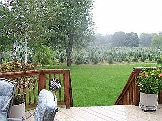 5th image of 235 Persimmon Ct