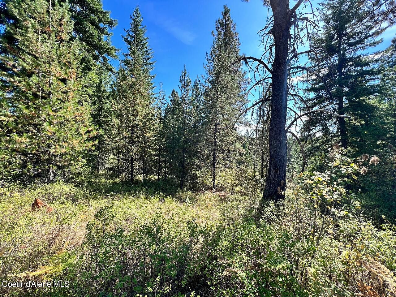 540 Lost Cabin Trl, Saint Maries, ID 83861 MLS 24452 Zillow