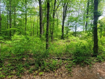 33A Laurel Point Drive, Oakdale, CT, 06370