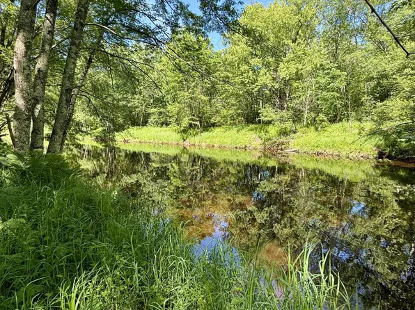 LOT 7 Pine River Rd, Merrill, WI 54452