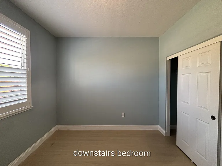 Spinnaker Cv — Photo 5