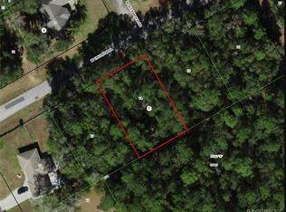 1330 W Emerson Pl, Citrus Springs, FL 34434