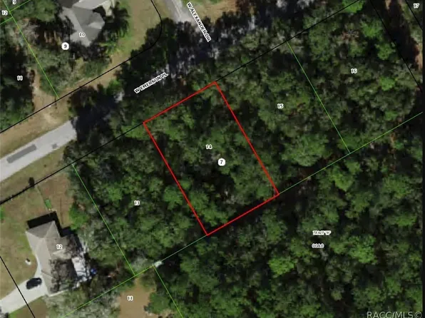 1330 W Emerson Pl, Citrus Springs, FL 34434