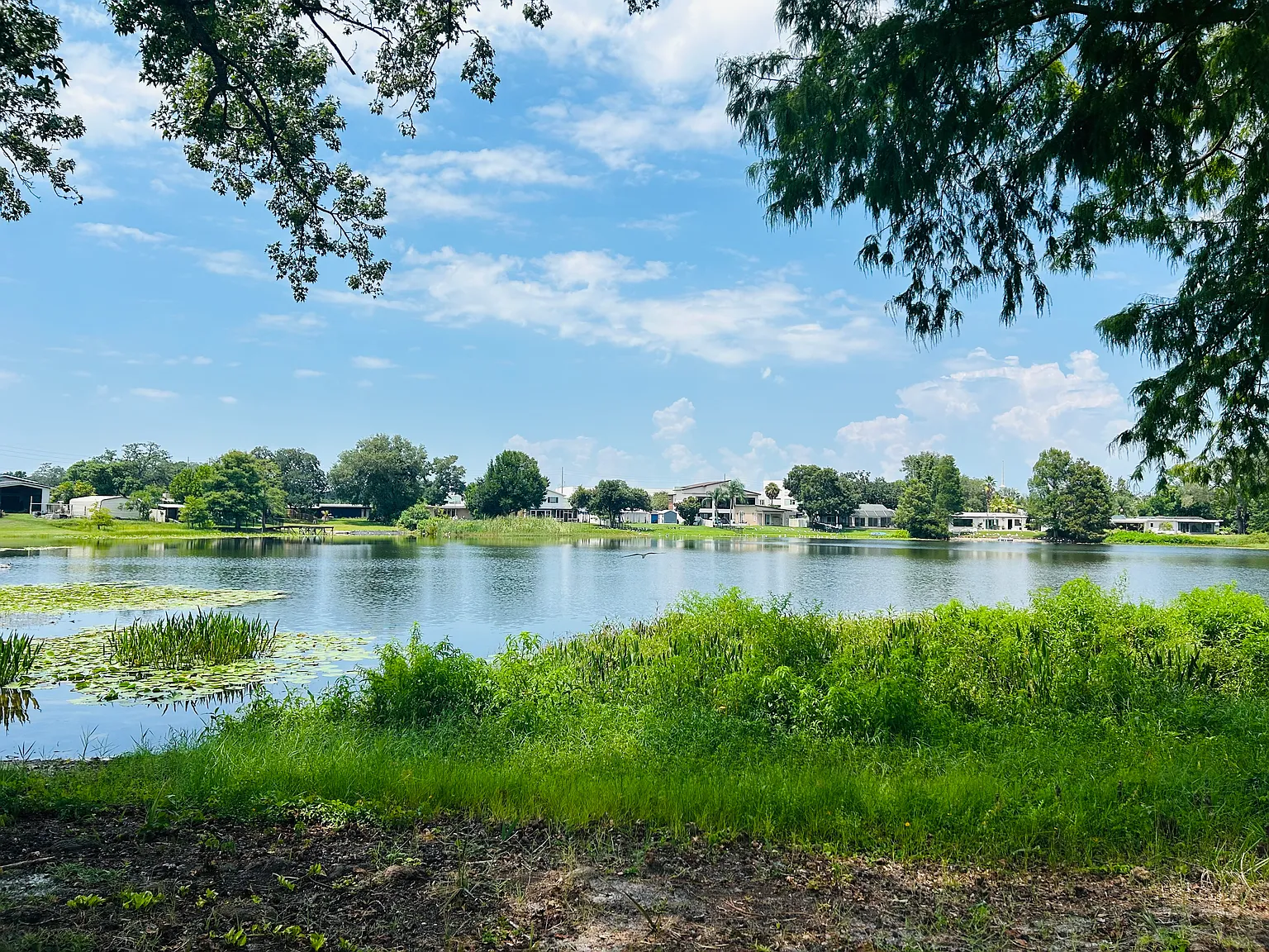 3 bed, 1600 sqft, $4,300 — Photo 3