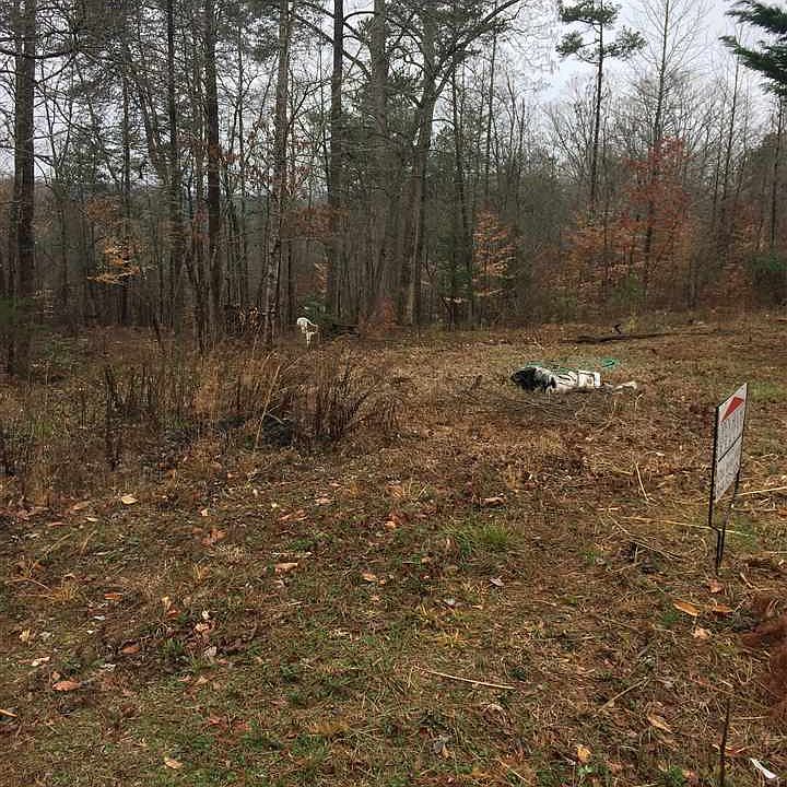 1st image of 302 Shannandoah Dr