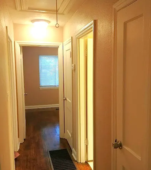 1538 Lillian Ln — Photo 5
