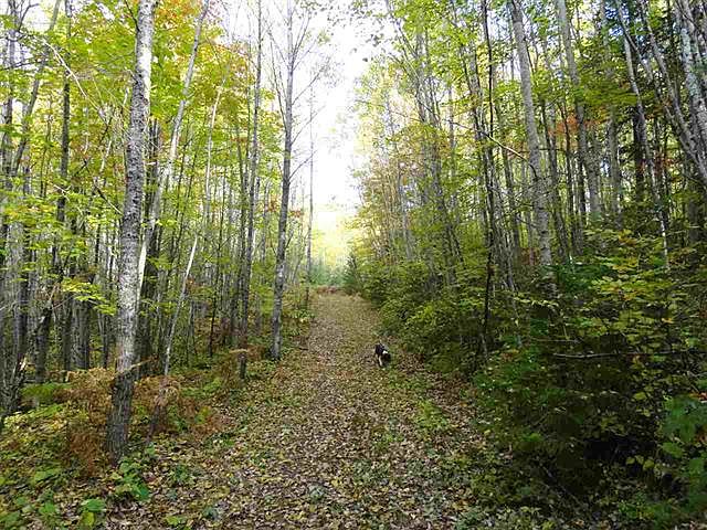 1st image of 320 Acres Moose Dr