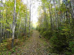 320 Acres Moose Dr, Republic, MI 49879