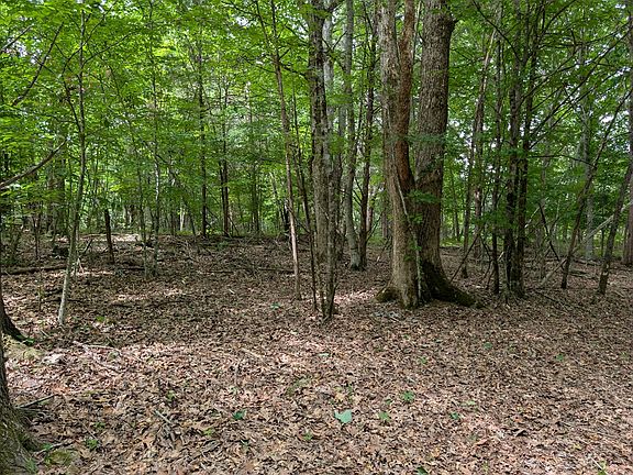 3rd image of 25AC Gains Hill Rd