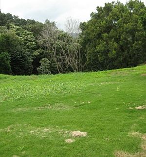 2nd image of 2030 Puu Kaa St Lot 12