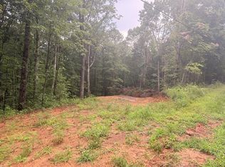 1765 Nugget Ln, Ellijay, GA 30540