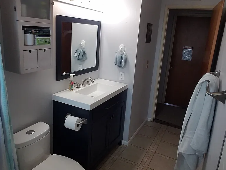 Main bathroom angle 1