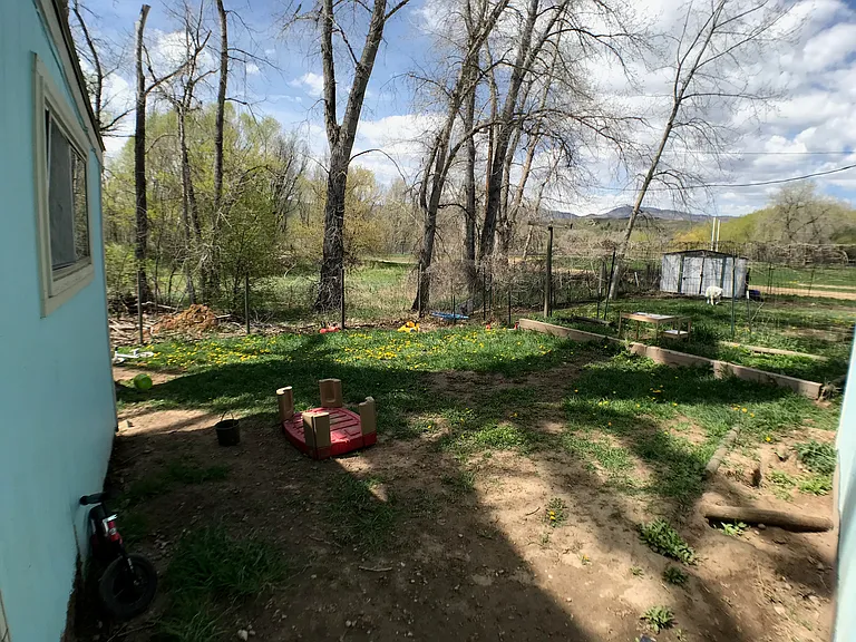 Yard is fenced in for your dogs