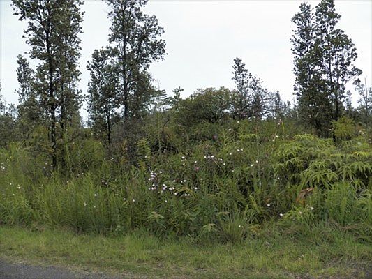 5th image of 6th Ave Lot 2232