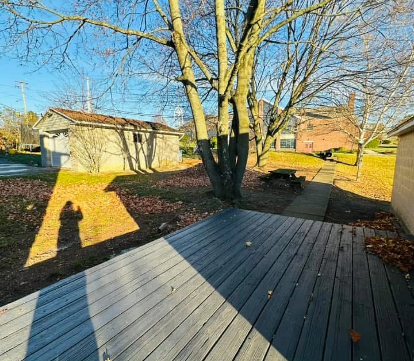 3 bed, 1800 sqft, $1,200 — Photo 3