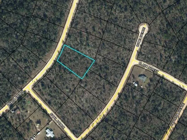 0 Baker Ave, Alford, FL 32420