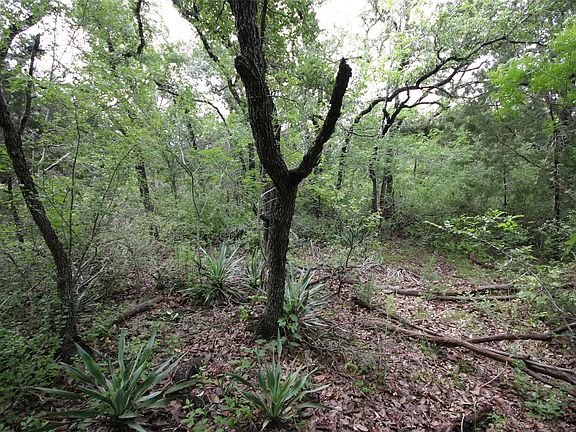 4th image of 1900 County Road 156