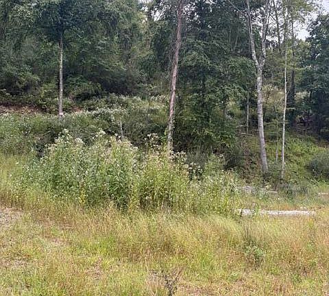 3rd image of 0 Ross Rd