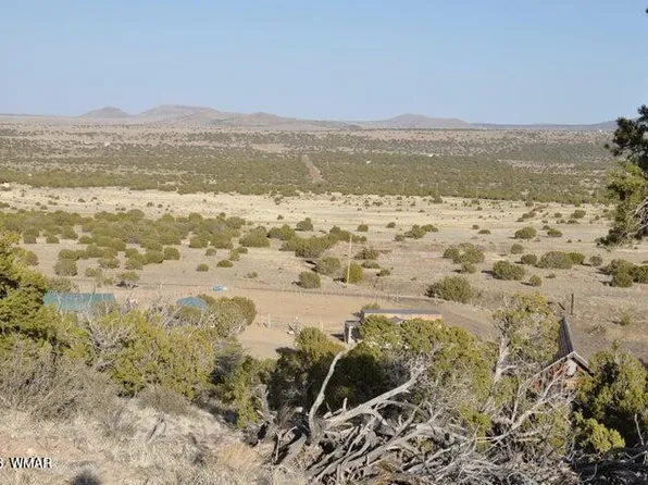20 County Road 3044, Concho, AZ 85924