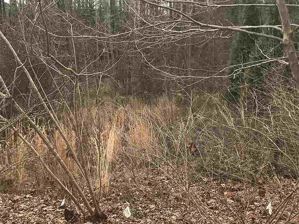 2nd image of 105 Acadia Ave