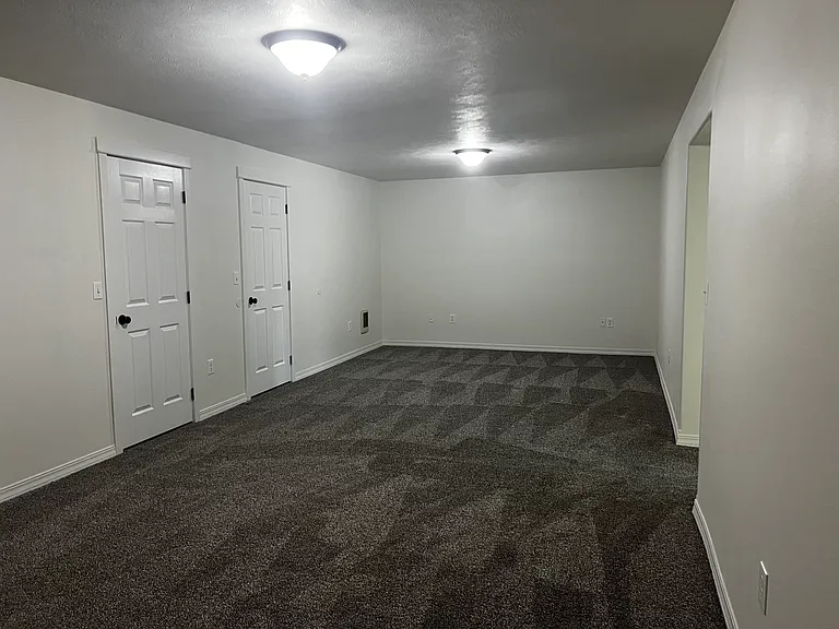 Downstairs family room / doors to storage room