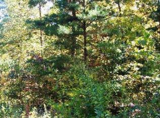 Old Loving Rd, Morganton, GA 30560