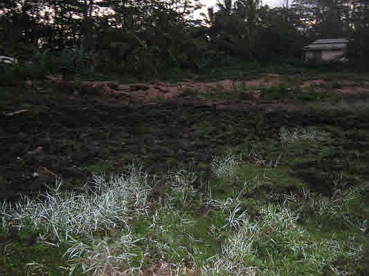 3rd image of Ahi St Lot 90