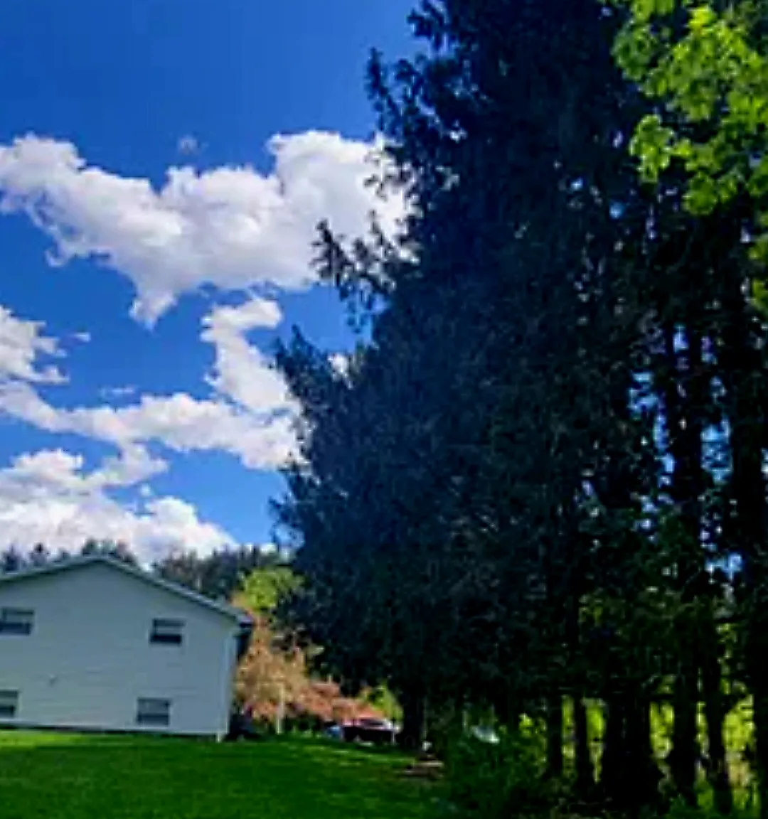 2 bed, 650 sqft, $1,300 — Photo 3