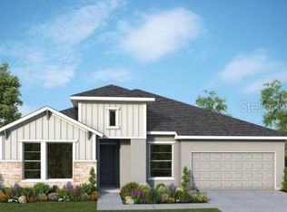 31571 Godwin Ct, Wesley Chapel, FL 33545