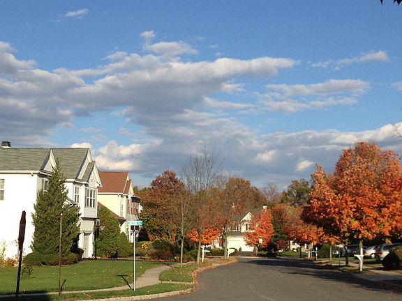 Front Yard View