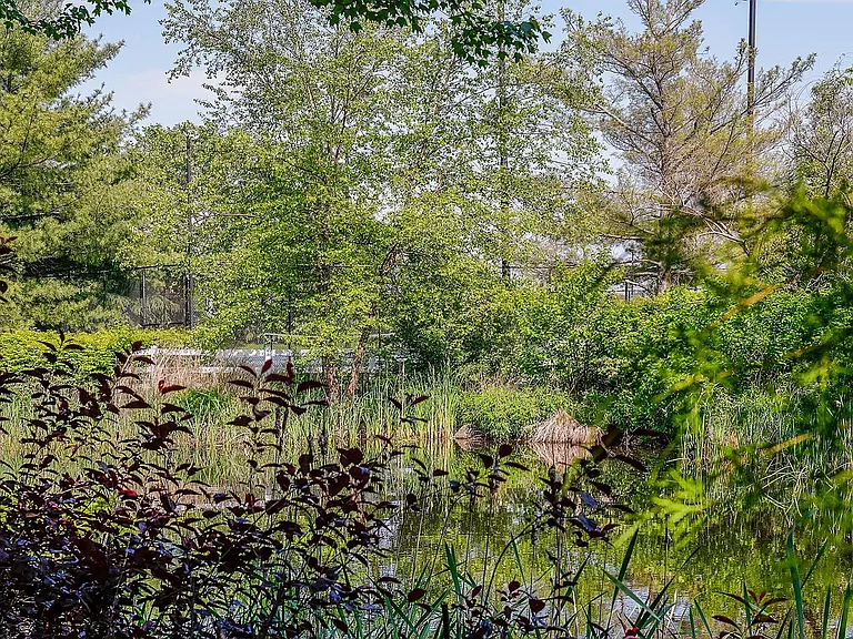 Lush landscaping throughout the community