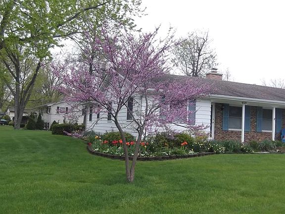 3rd image of 4009 Fernbank Dr
