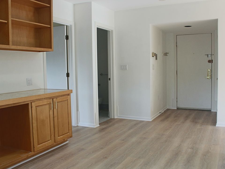 Living room and the entrance