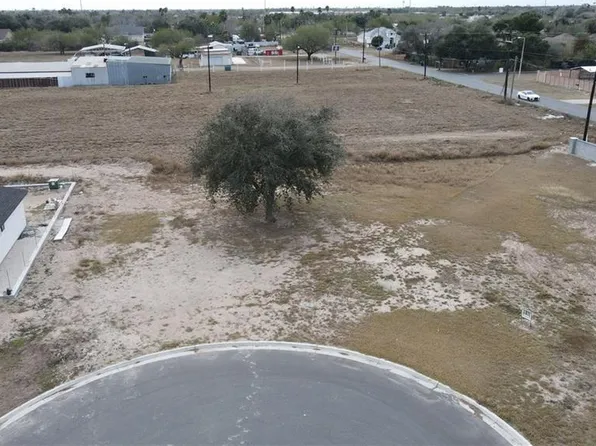 4309 Zinnia Ave, McAllen, TX 78504