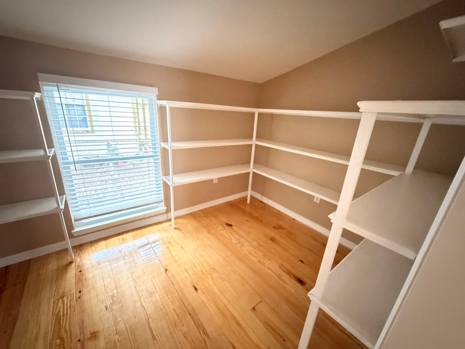1 bed, 1000 sqft, $850 — Photo 2